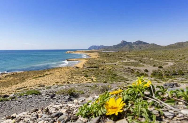 Great beach locations in Murcia to take your first dip of the year!